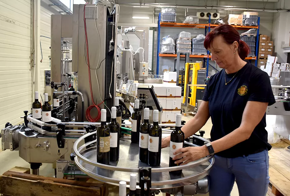 Kraj berbe u znaku zadovoljstva – Krauthakerovi vinogradi ponovno dali vrhunsko grožđe