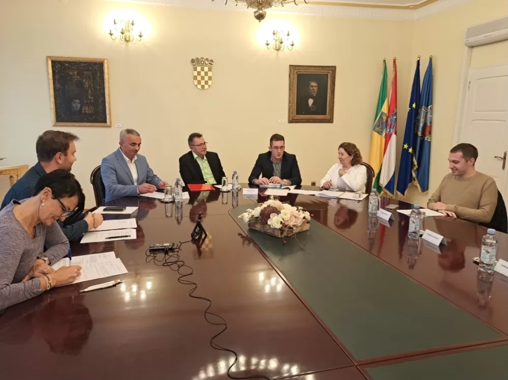 Petar Pavić novi predsjednik Savjeta mladih Grada Požege