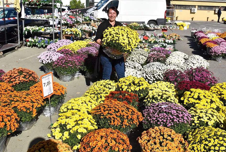 /FOTOGALERIJA/ Požega se priprema za blagdan Svih svetih: Cvijeće i aranžmani neizostavni dio u toj prigodi 