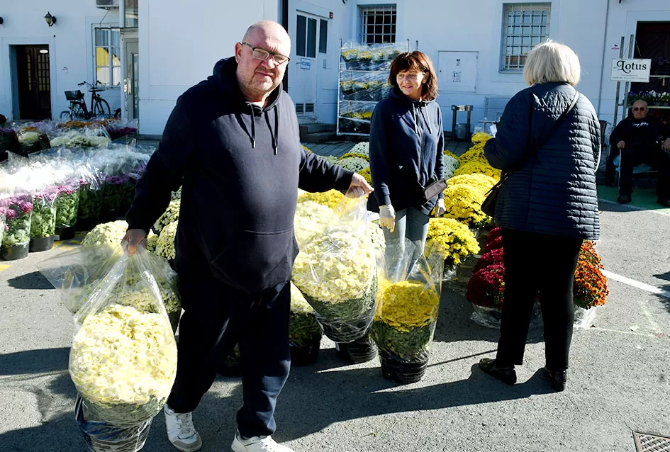 /FOTOGALERIJA/ Požega se priprema za blagdan Svih svetih: Cvijeće i aranžmani neizostavni dio u toj prigodi 