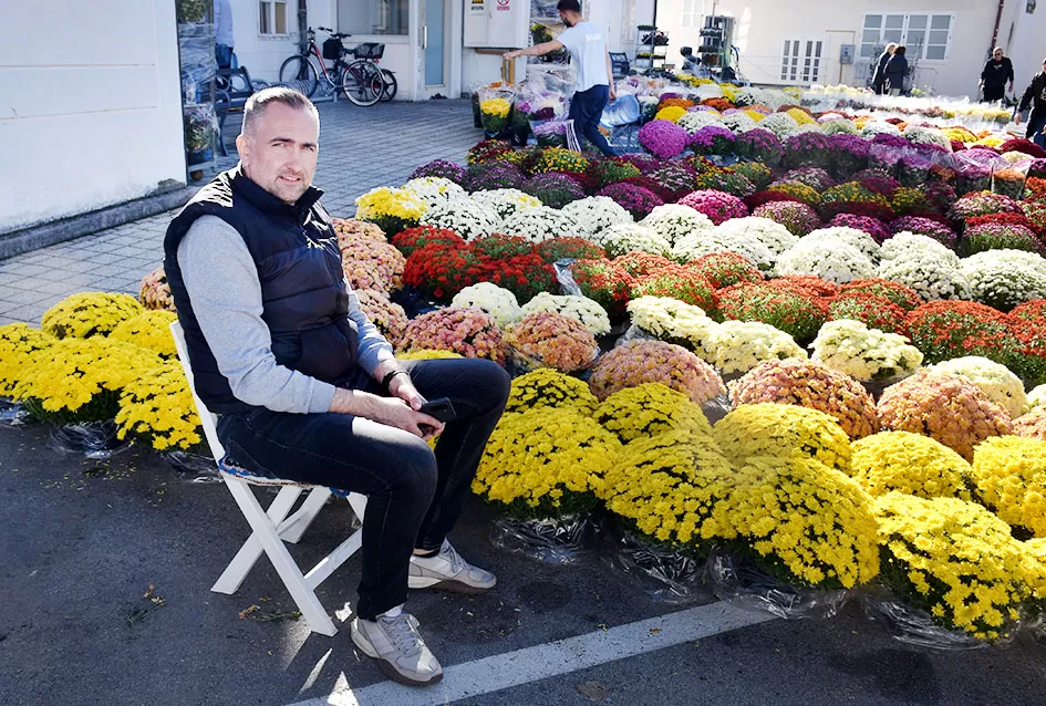 /FOTOGALERIJA/ Požega se priprema za blagdan Svih svetih: Cvijeće i aranžmani neizostavni dio u toj prigodi 