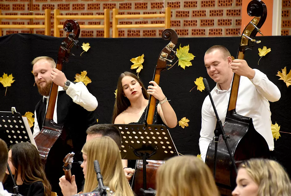 Kaptolački tamburaški orkestar tamburama i pjesmama u šetnji Slavonijom