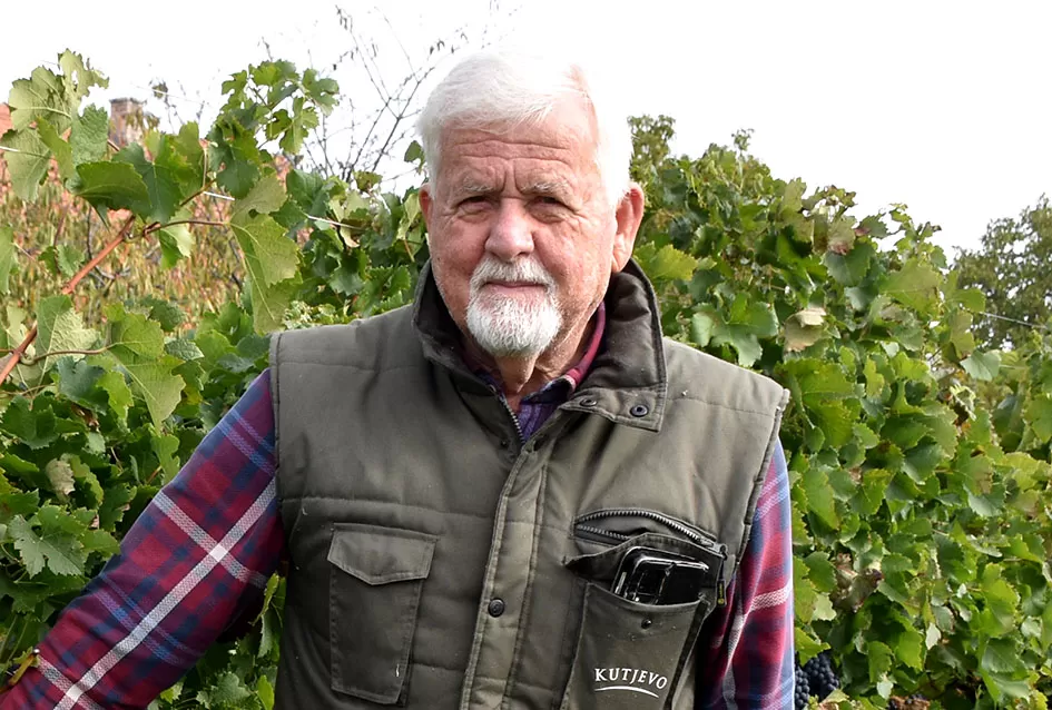 Božo Bokšić: Živa legenda požeškog voćarstva i vinogradarstva