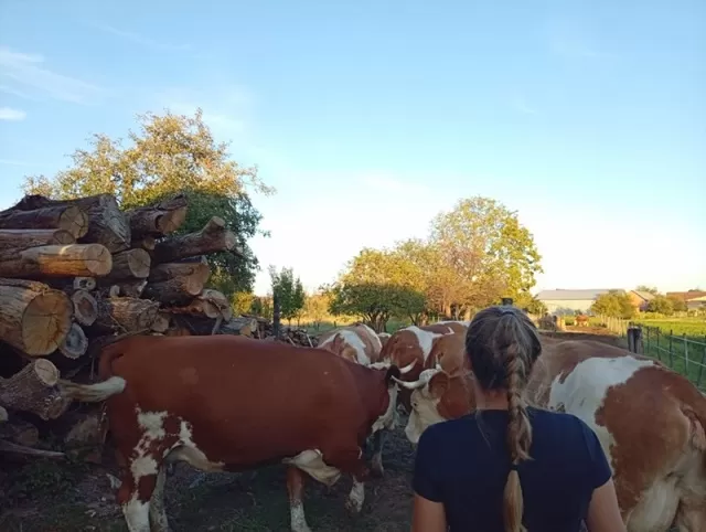MARIJA KROLO TANDARIĆ, UZORNA MEĐU UZORNIMA: “Ovo je priča koja slavi snagu i uspješnost žena i promovira vrijednost i bogatstvo ruralnog prostora”