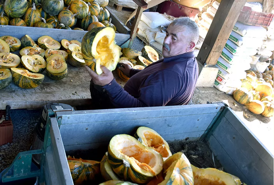 Inovacija u Alilovcima: Slavko Bartolović koristi usisavač za brzo vađenje sjemenki buče