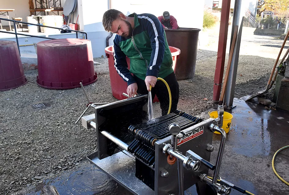 Kutjevački vinogradar Krešimir Bodegrajac: ʼOva godina će se pamtiti kao jedna od izuzetnihʼ