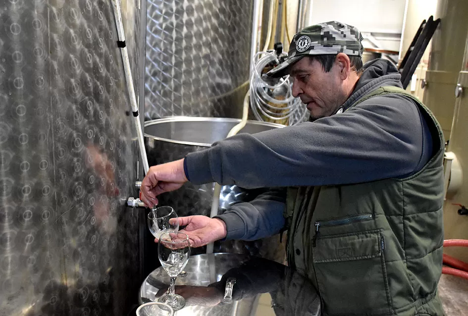 Kutjevački vinogradar Krešimir Bodegrajac: ʼOva godina će se pamtiti kao jedna od izuzetnihʼ