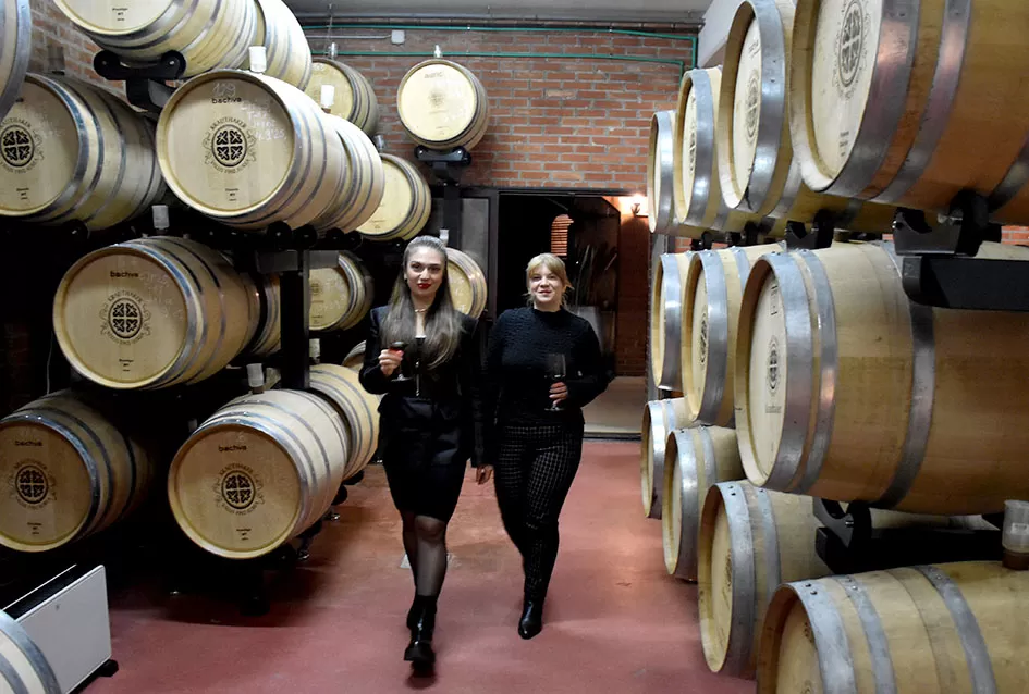 Rijeke posjetitelja preplavile podrume na Danu otvorenih podruma  u Kutjebu