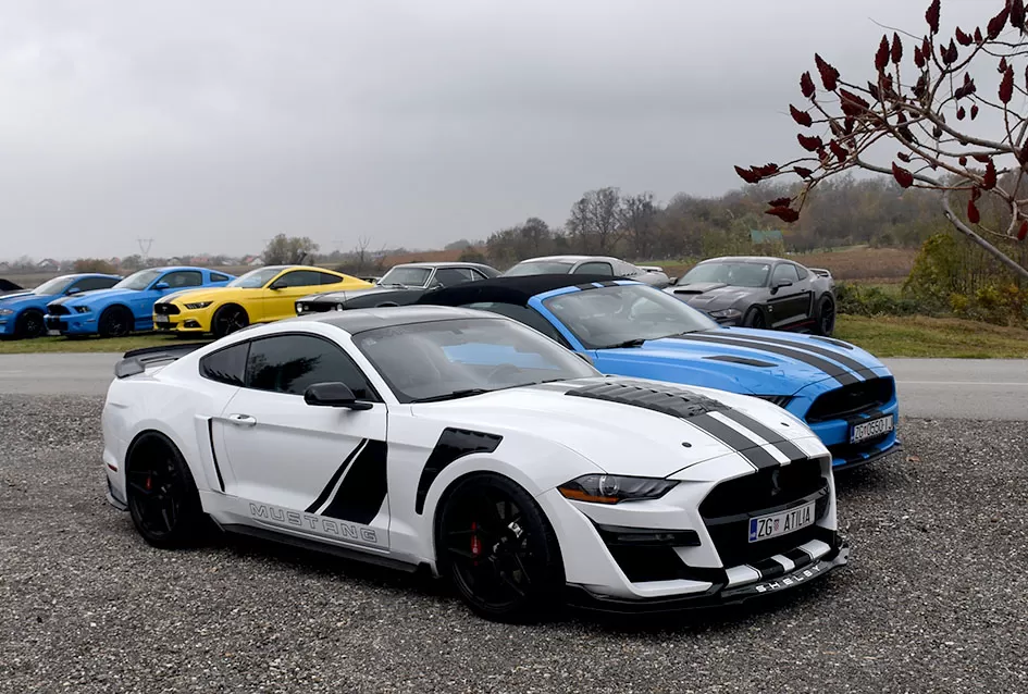 Američke ikone na Martinskom druženju u Kutjevu i Požegi