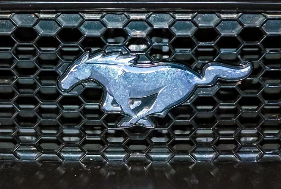 Američke ikone na Martinskom druženju u Kutjevu i Požegi