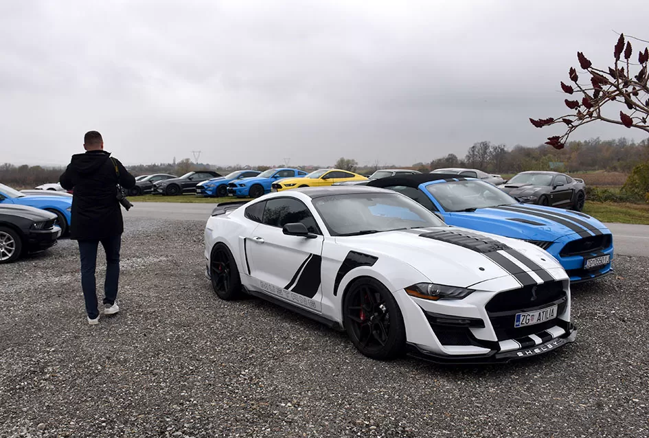 Američke ikone na Martinskom druženju u Kutjevu i Požegi