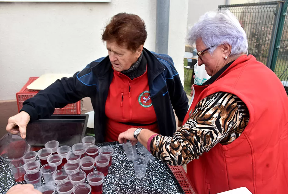Nikad bolje Martinje u Kutjevu – tisuće planinara, gostiju i ljubitelja graševine uživalo u nezaboravnom danu
