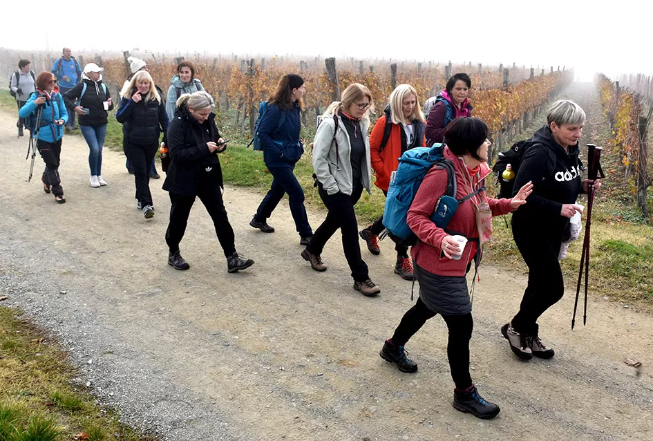 Nikad bolje Martinje u Kutjevu – tisuće planinara, gostiju i ljubitelja graševine uživalo u nezaboravnom danu
