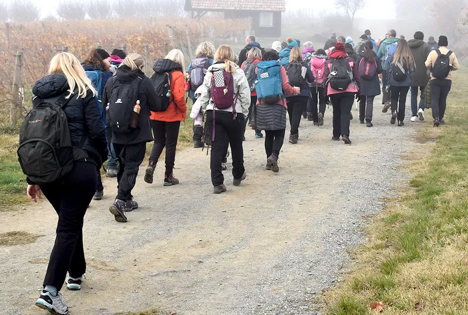Nikad bolje Martinje u Kutjevu – tisuće planinara, gostiju i ljubitelja graševine uživalo u nezaboravnom danu