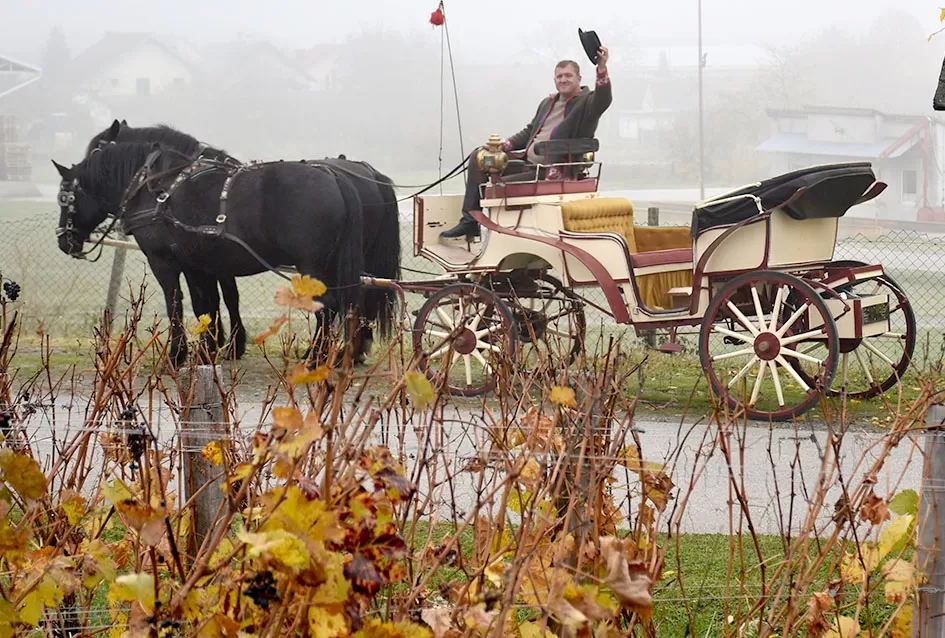 Nikad bolje Martinje u Kutjevu – tisuće planinara, gostiju i ljubitelja graševine uživalo u nezaboravnom danu