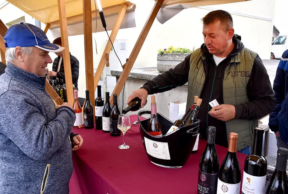 Nikad bolje Martinje u Kutjevu – tisuće planinara, gostiju i ljubitelja graševine uživalo u nezaboravnom danu