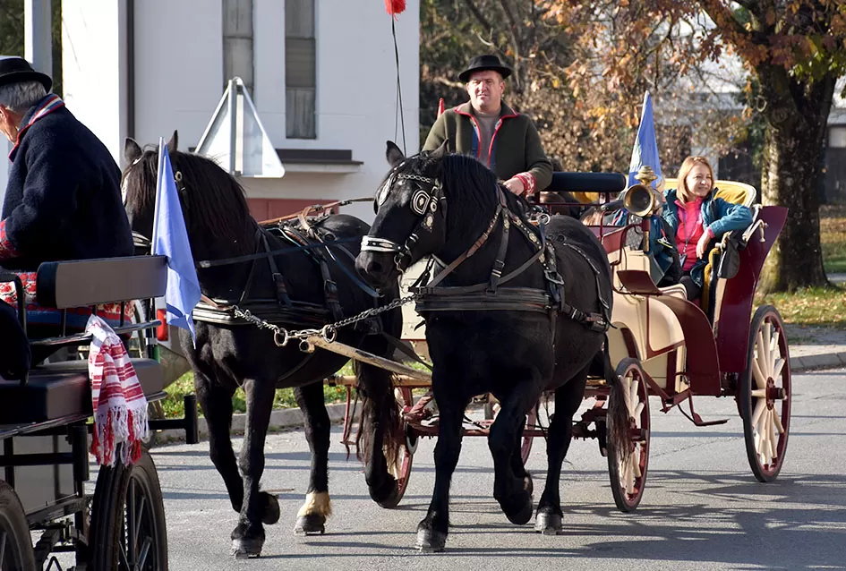 Nikad bolje Martinje u Kutjevu – tisuće planinara, gostiju i ljubitelja graševine uživalo u nezaboravnom danu