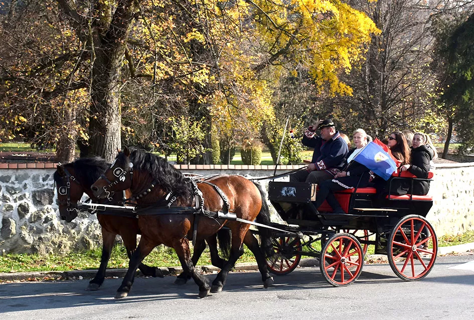 Nikad bolje Martinje u Kutjevu – tisuće planinara, gostiju i ljubitelja graševine uživalo u nezaboravnom danu