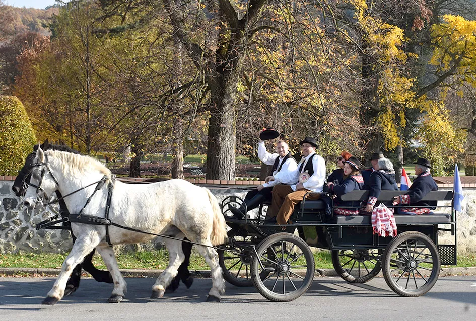 Nikad bolje Martinje u Kutjevu – tisuće planinara, gostiju i ljubitelja graševine uživalo u nezaboravnom danu