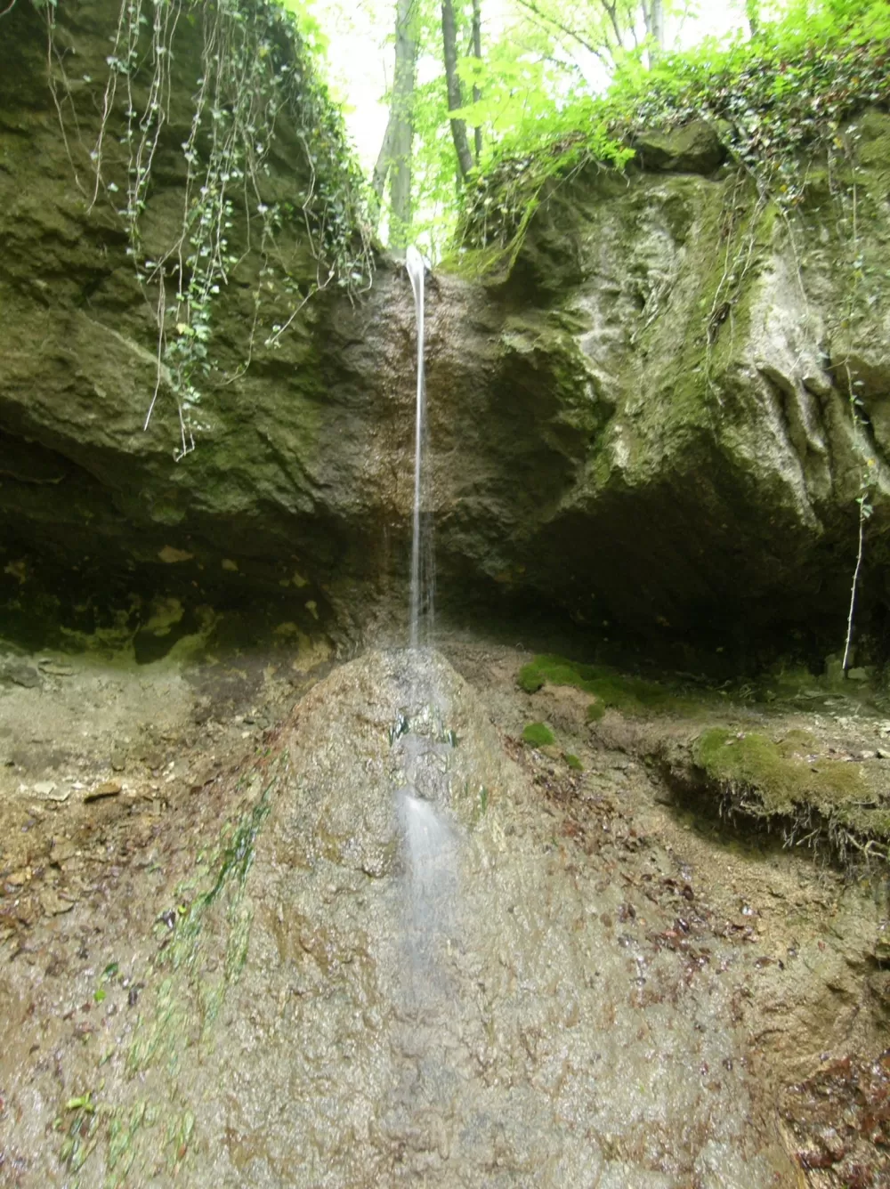 Pljuskara čuva 20 milijuna godina života