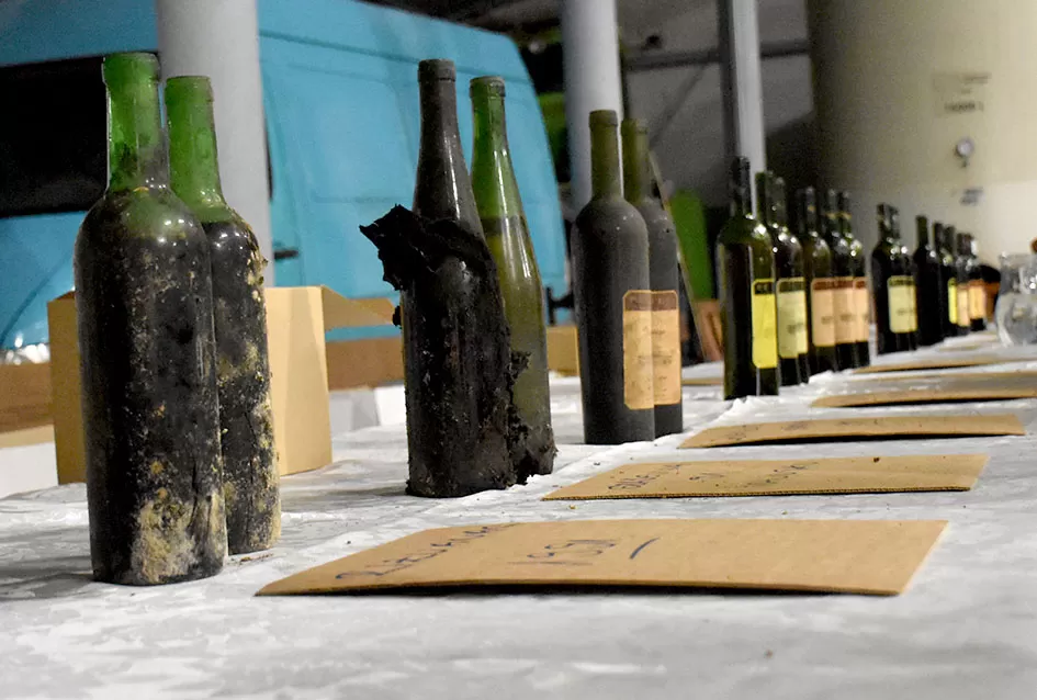 Krštena mlada graševina, kušana rijetka arhivska vina stara preko 30 godina