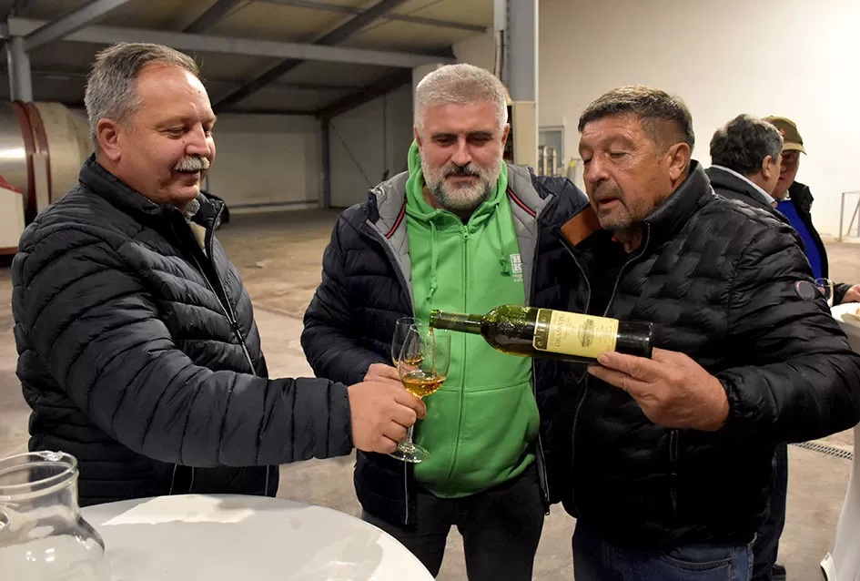 Krštena mlada graševina, kušana rijetka arhivska vina stara preko 30 godina