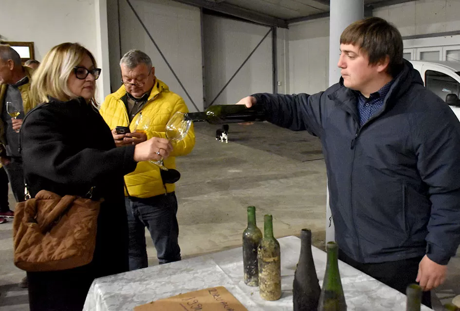 Krštena mlada graševina, kušana rijetka arhivska vina stara preko 30 godina