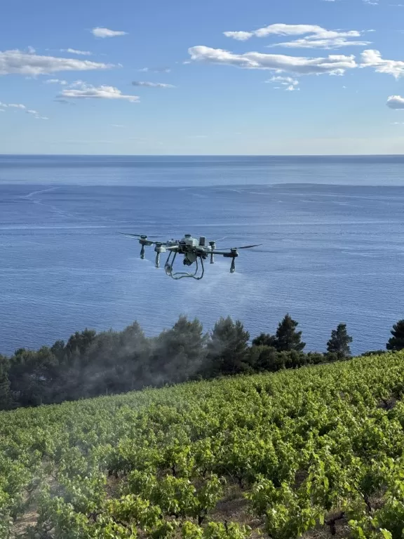 Nagrađena ideja kaptolačko-zagrebačkog para koja digitalno upravlja vinogradima i pomaže vinogradarima