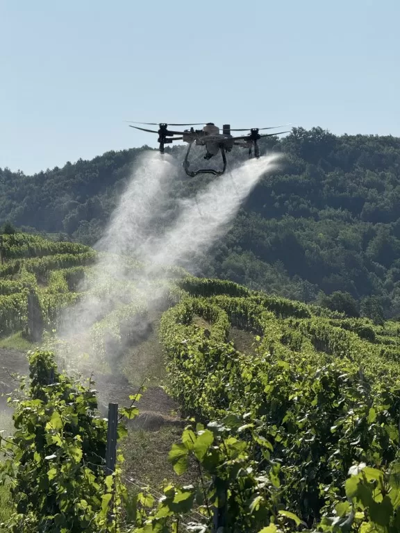 Nagrađena ideja kaptolačko-zagrebačkog para koja digitalno upravlja vinogradima i pomaže vinogradarima