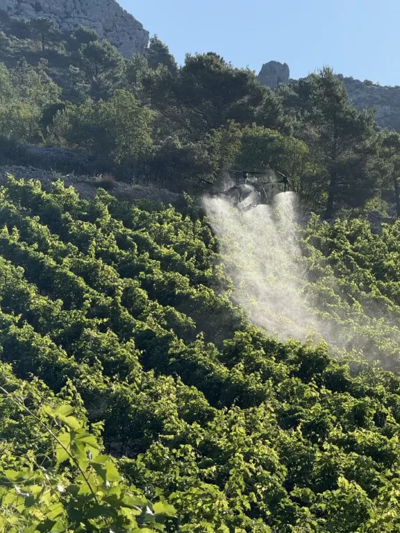 Nagrađena ideja kaptolačko-zagrebačkog para koja digitalno upravlja vinogradima i pomaže vinogradarima