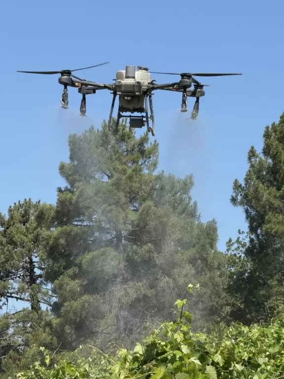 Nagrađena ideja kaptolačko-zagrebačkog para koja digitalno upravlja vinogradima i pomaže vinogradarima