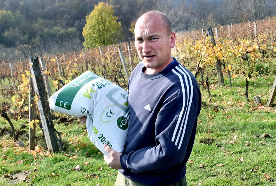 Obitelj Pamuklić iz Požege: Gotovo četiri desetljeća strasti prema vinovoj lozi