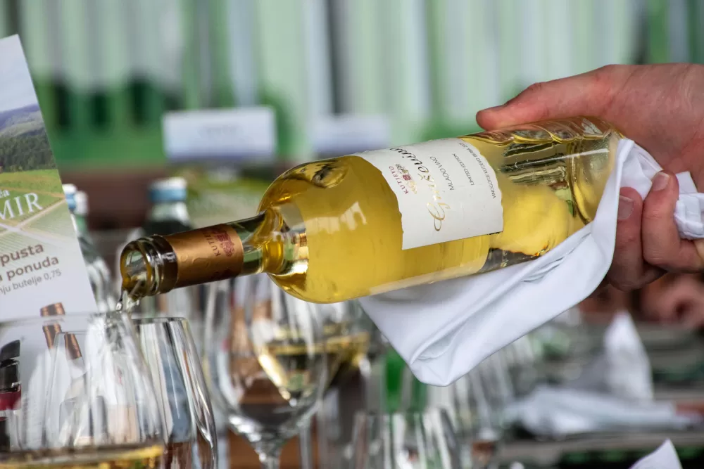 VINARIJA KUTJEVO - VRIJEME JE ZA MLADU GRAŠEVINU