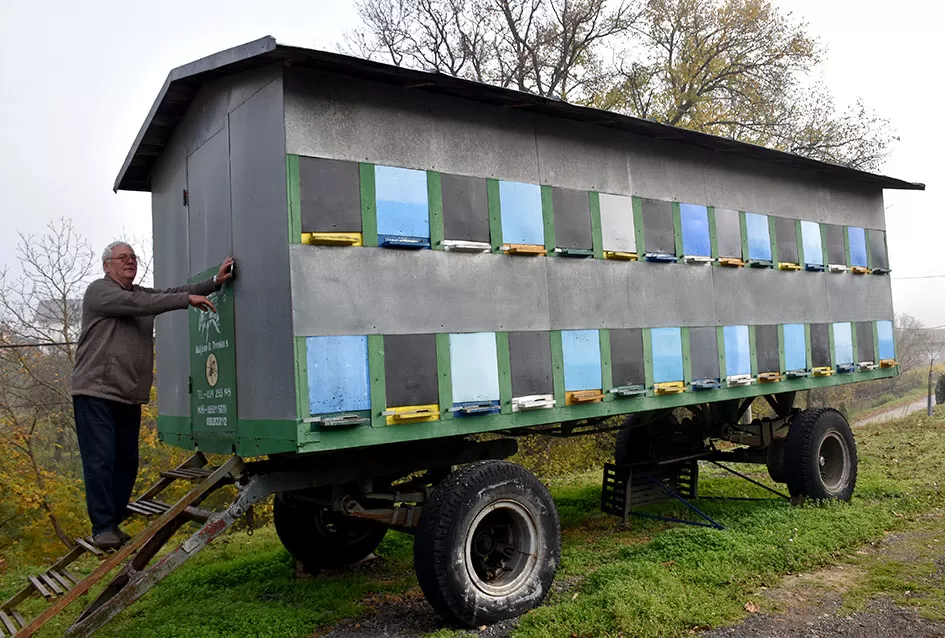 Pčelarska obitelj Hora iz Kutjeva: Čuvari slatke tradicije duge od 1975. godine