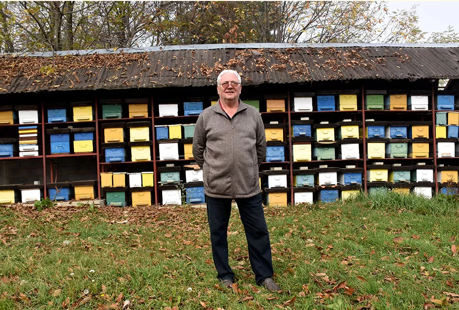 Pčelarska obitelj Hora iz Kutjeva: Čuvari slatke tradicije duge od 1975. godine