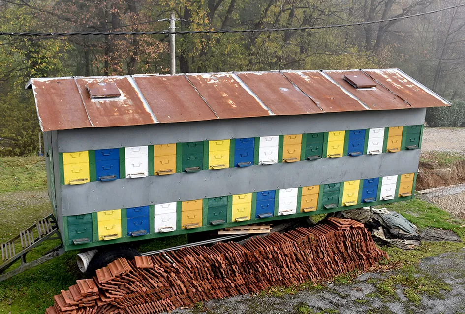 Pčelarska obitelj Hora iz Kutjeva: Čuvari slatke tradicije duge od 1975. godine