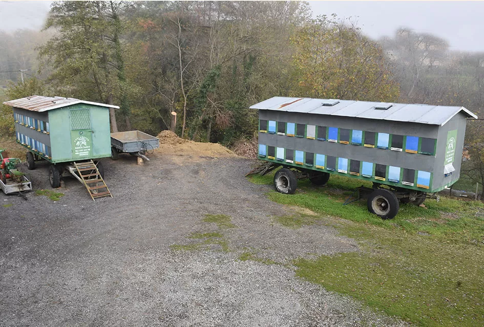 Pčelarska obitelj Hora iz Kutjeva: Čuvari slatke tradicije duge od 1975. godine