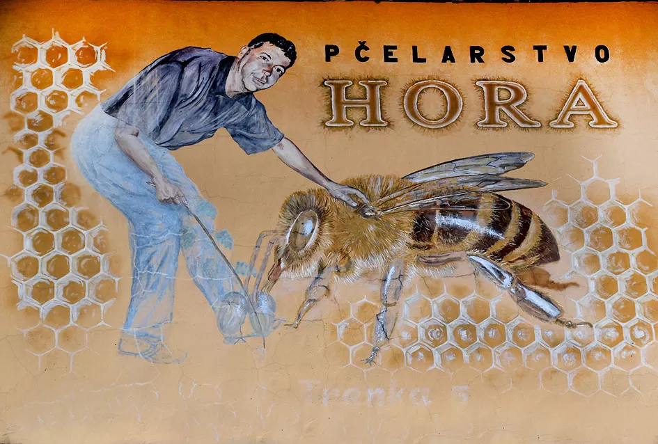 Pčelarska obitelj Hora iz Kutjeva: Čuvari slatke tradicije duge od 1975. godine