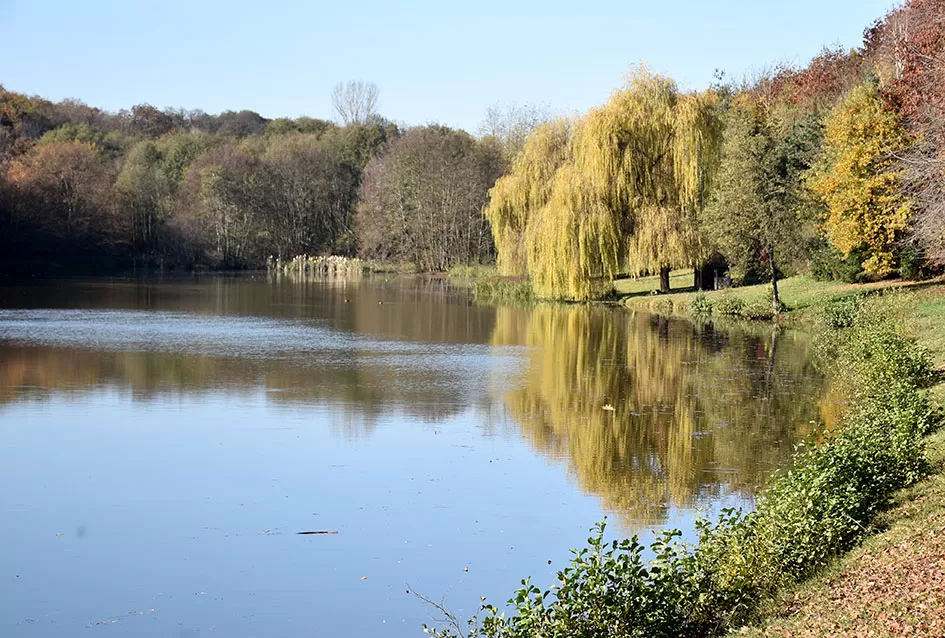 Jezero Sovinjak životno djelo Marice i Slavka Marinovića čeka novog vlasnika: Raj za ribiče i izletnike na korak do Požege