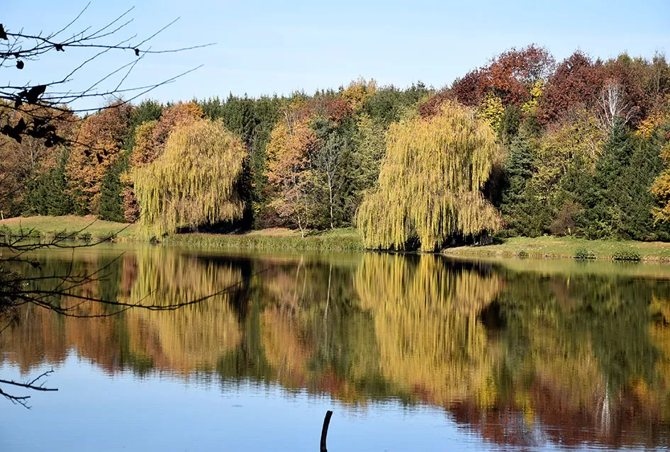 Jezero Sovinjak životno djelo Marice i Slavka Marinovića čeka novog vlasnika: Raj za ribiče i izletnike na korak do Požege
