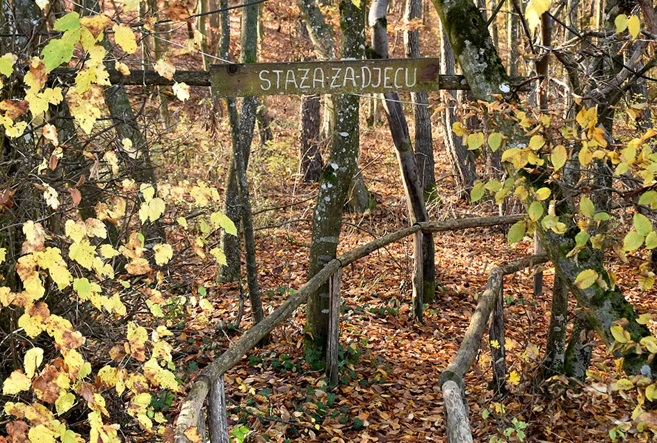 Jezero Sovinjak životno djelo Marice i Slavka Marinovića čeka novog vlasnika: Raj za ribiče i izletnike na korak do Požege