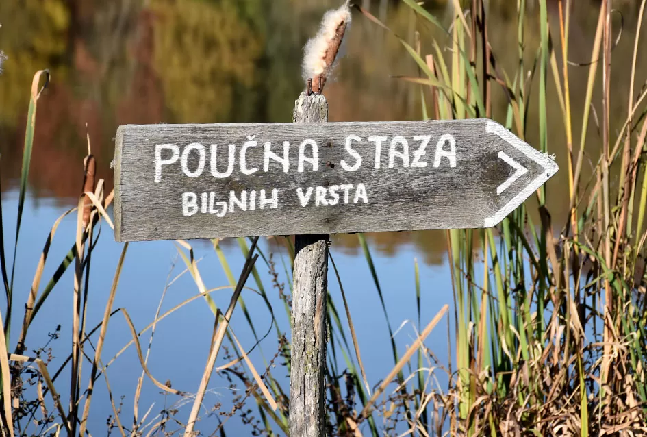 Jezero Sovinjak životno djelo Marice i Slavka Marinovića čeka novog vlasnika: Raj za ribiče i izletnike na korak do Požege