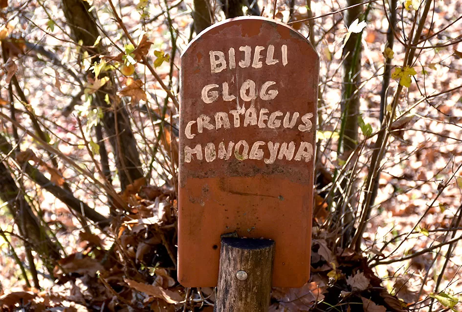 Jezero Sovinjak životno djelo Marice i Slavka Marinovića čeka novog vlasnika: Raj za ribiče i izletnike na korak do Požege