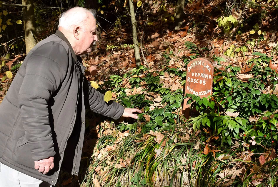 Jezero Sovinjak životno djelo Marice i Slavka Marinovića čeka novog vlasnika: Raj za ribiče i izletnike na korak do Požege