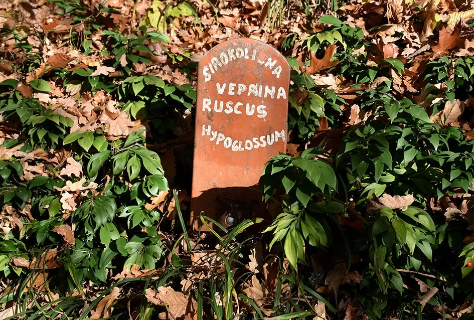 Jezero Sovinjak životno djelo Marice i Slavka Marinovića čeka novog vlasnika: Raj za ribiče i izletnike na korak do Požege