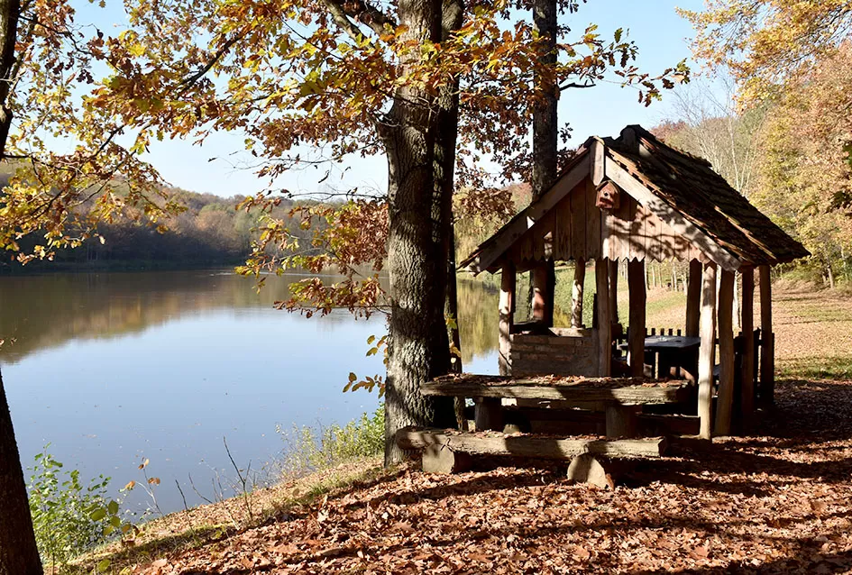 Jezero Sovinjak životno djelo Marice i Slavka Marinovića čeka novog vlasnika: Raj za ribiče i izletnike na korak do Požege