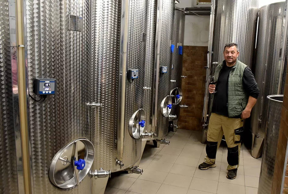 Berba s okusom tradicije: Matić i Škoro pripremaju poluslatki cabernet sauvignon u Mitrovcu