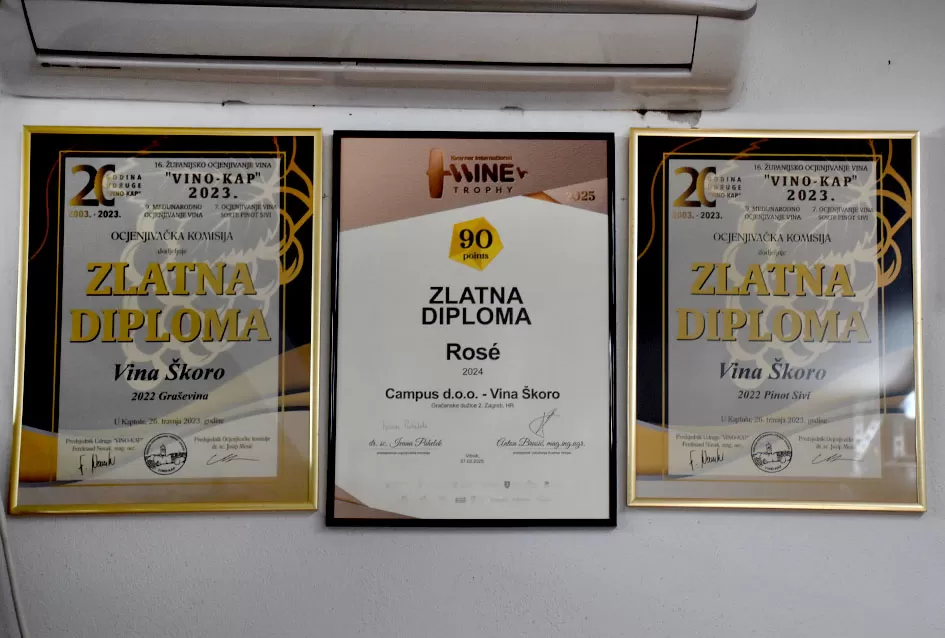 Berba s okusom tradicije: Matić i Škoro pripremaju poluslatki cabernet sauvignon u Mitrovcu