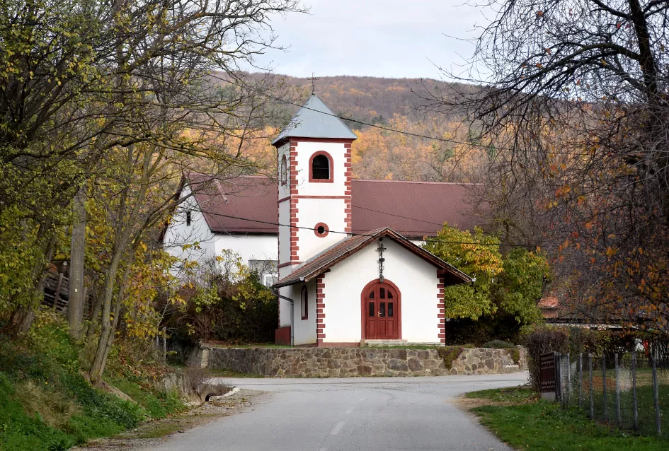 Berba s okusom tradicije: Matić i Škoro pripremaju poluslatki cabernet sauvignon u Mitrovcu