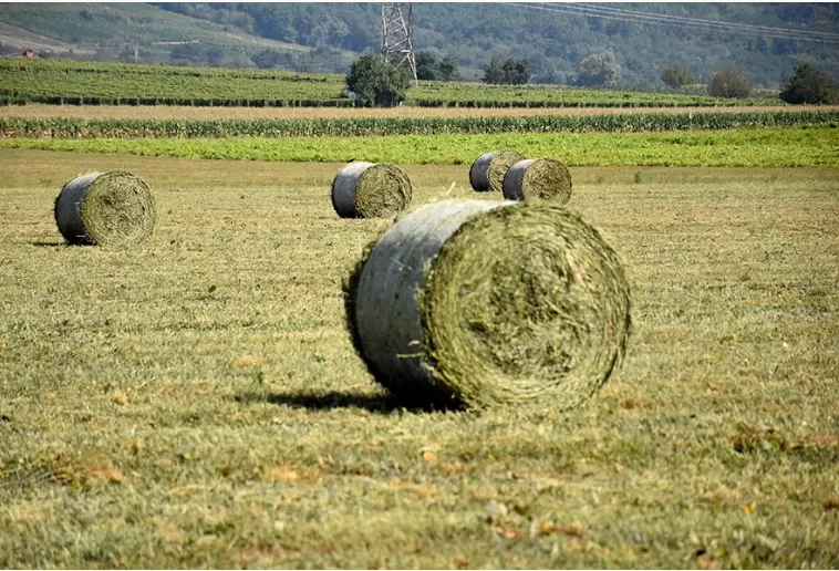 Požega.eu | Požeška županija ima pet tisuća hektara zemljišta bez dokumentacije